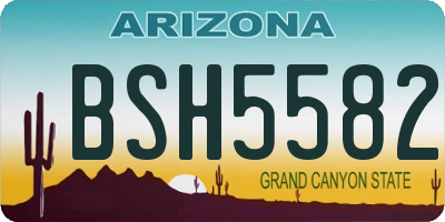 AZ license plate BSH5582