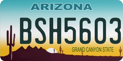 AZ license plate BSH5603