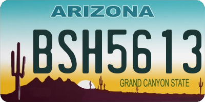 AZ license plate BSH5613