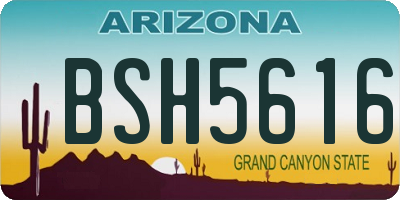 AZ license plate BSH5616