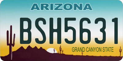 AZ license plate BSH5631