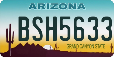 AZ license plate BSH5633