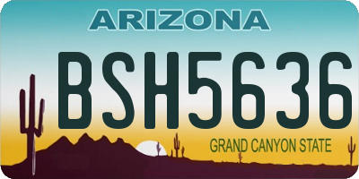 AZ license plate BSH5636