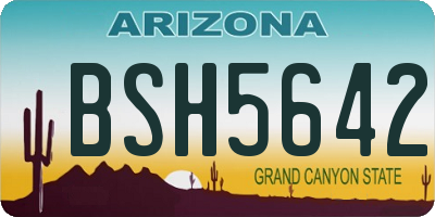 AZ license plate BSH5642