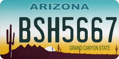 AZ license plate BSH5667