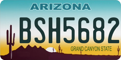 AZ license plate BSH5682