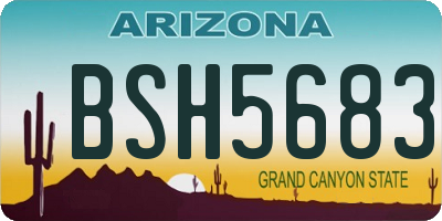 AZ license plate BSH5683