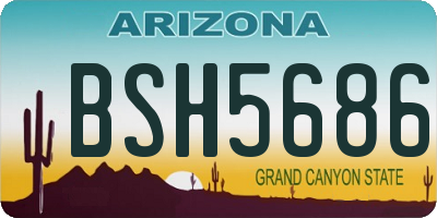 AZ license plate BSH5686