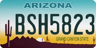 AZ license plate BSH5823