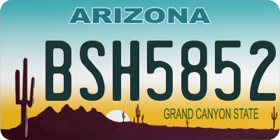 AZ license plate BSH5852