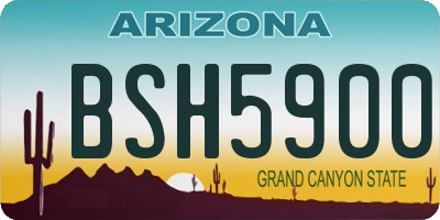 AZ license plate BSH5900