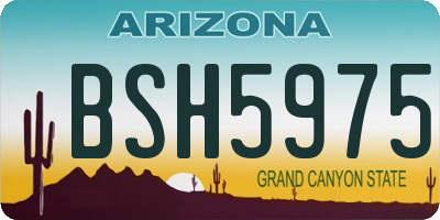 AZ license plate BSH5975