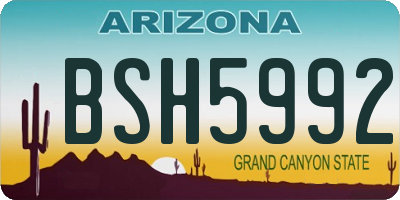 AZ license plate BSH5992