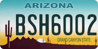 AZ license plate BSH6002