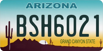 AZ license plate BSH6021