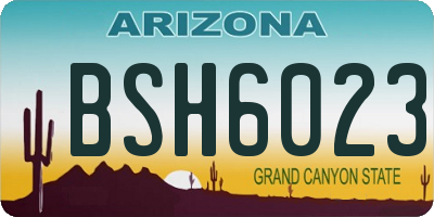 AZ license plate BSH6023