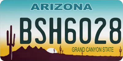 AZ license plate BSH6028