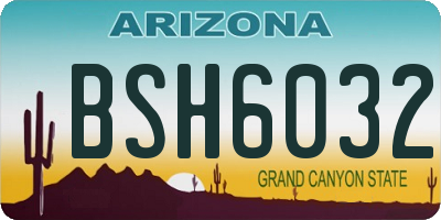 AZ license plate BSH6032