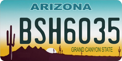 AZ license plate BSH6035