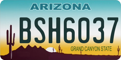 AZ license plate BSH6037