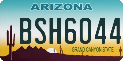 AZ license plate BSH6044