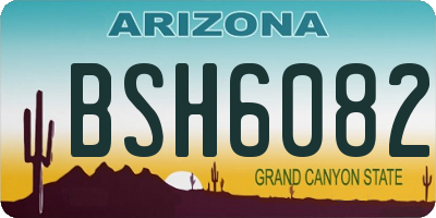 AZ license plate BSH6082