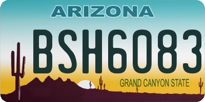 AZ license plate BSH6083