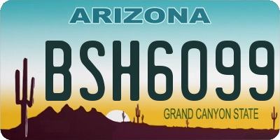 AZ license plate BSH6099