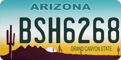 AZ license plate BSH6268
