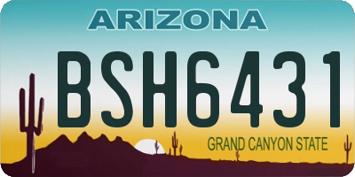 AZ license plate BSH6431