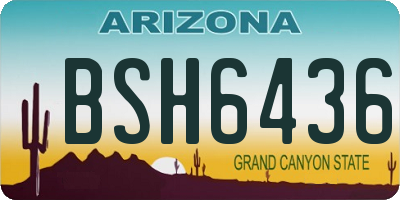 AZ license plate BSH6436