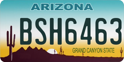 AZ license plate BSH6463