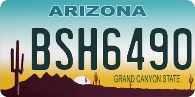 AZ license plate BSH6490