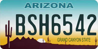 AZ license plate BSH6542