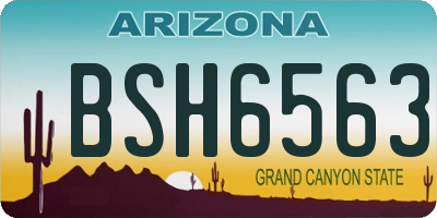 AZ license plate BSH6563