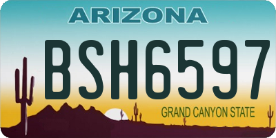 AZ license plate BSH6597