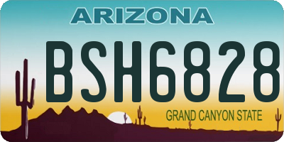 AZ license plate BSH6828