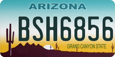 AZ license plate BSH6856