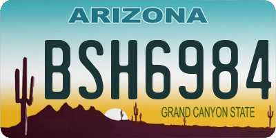 AZ license plate BSH6984