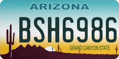 AZ license plate BSH6986