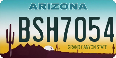 AZ license plate BSH7054