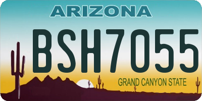 AZ license plate BSH7055