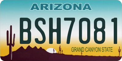 AZ license plate BSH7081