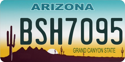 AZ license plate BSH7095