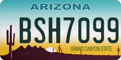 AZ license plate BSH7099