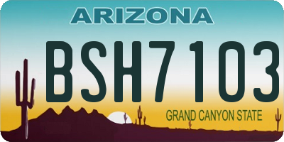 AZ license plate BSH7103