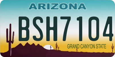 AZ license plate BSH7104