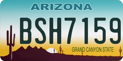 AZ license plate BSH7159