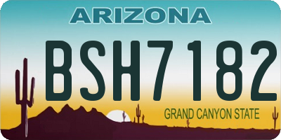 AZ license plate BSH7182