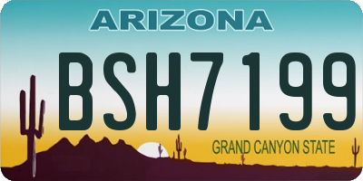 AZ license plate BSH7199